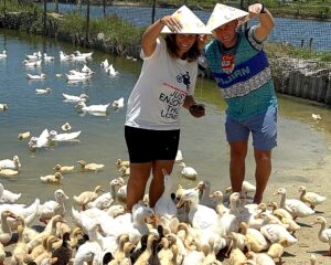 Blog duck farm hoi an hero 2